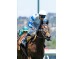  Carrera: P.Beamonte Oaks Monta: R.N.Valle Caballo: Caccia di Diana